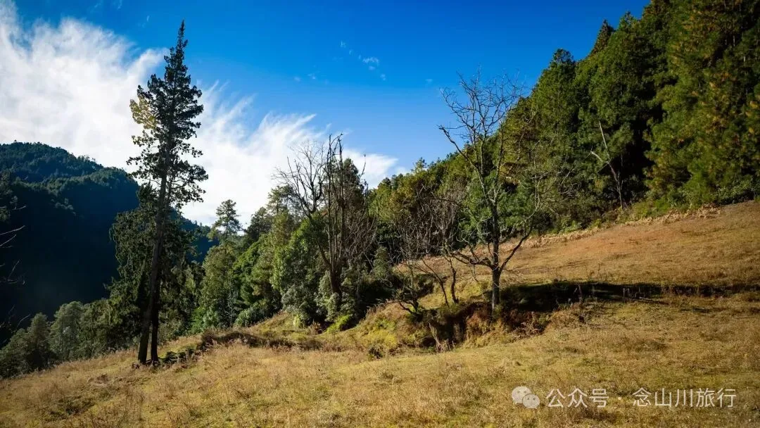 东桑卡，人类退出之后自然重新回归，隐居山野的理想之地 - 第9张