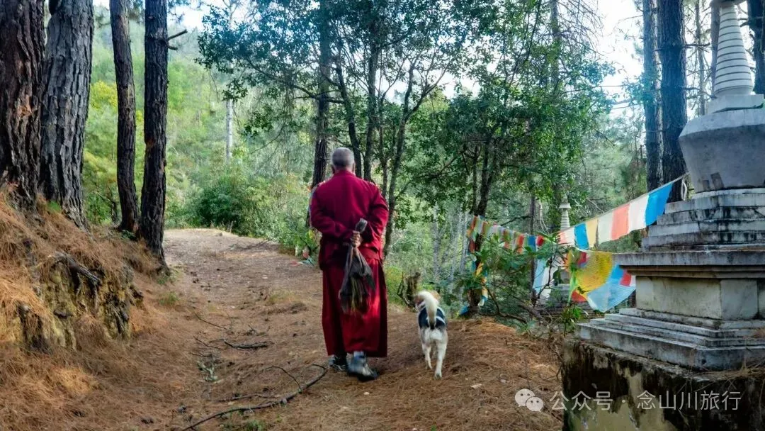巴珠人物｜达来寺主持贡秋史罗，把每一个梦境照进现实的修行人 - 第12张