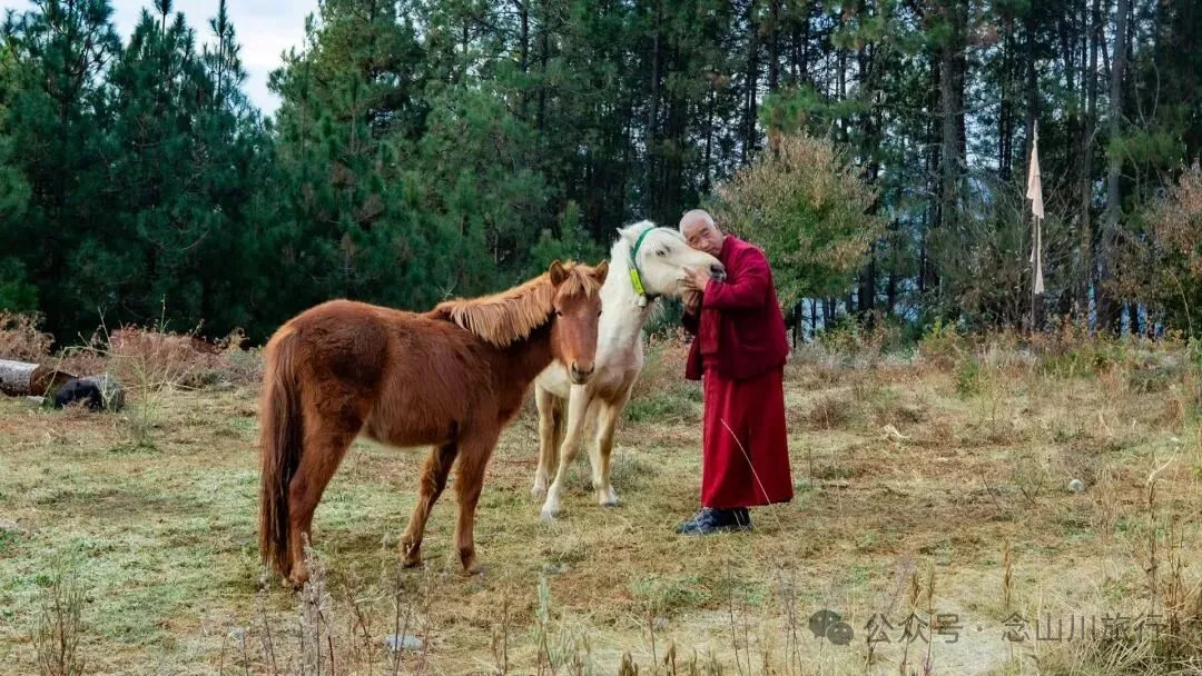 巴珠人物｜达来寺主持贡秋史罗，把每一个梦境照进现实的修行人 - 第14张