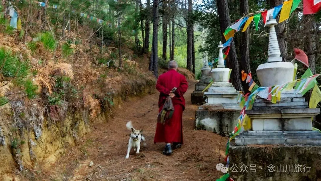 巴珠人物｜达来寺主持贡秋史罗，把每一个梦境照进现实的修行人 - 第3张