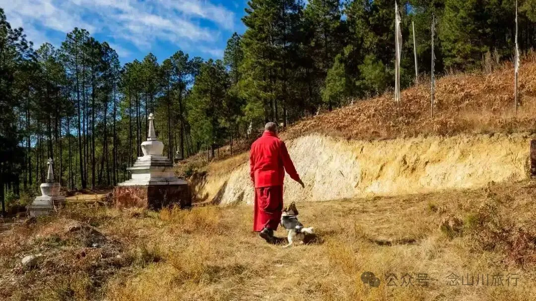 巴珠人物｜达来寺主持贡秋史罗，把每一个梦境照进现实的修行人 - 第7张