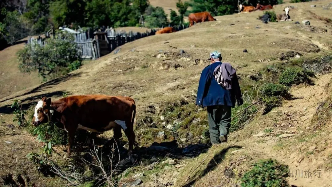 巴珠人物｜唱嘟传承人和庆文，为照顾家人放弃事业的退伍老兵 - 第15张