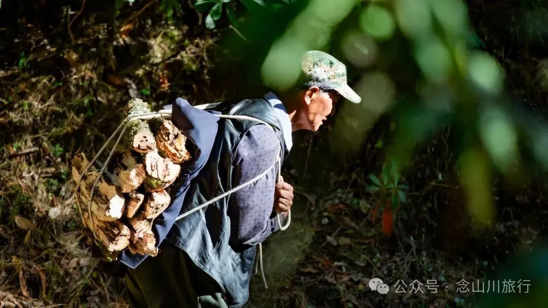 巴珠人物｜唱嘟传承人和庆文，为照顾家人放弃事业的退伍老兵 - 第20张