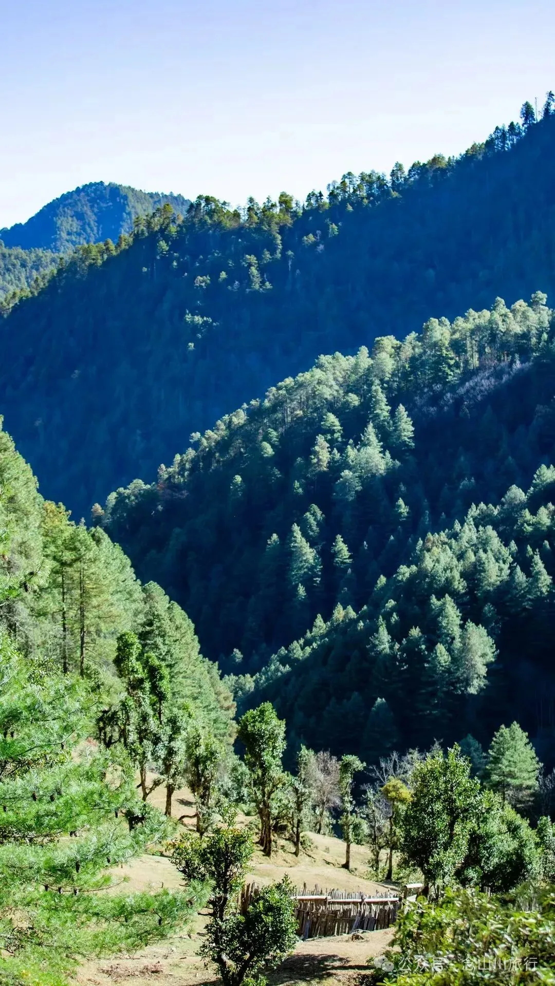 巴珠人物｜唱嘟传承人和庆文，为照顾家人放弃事业的退伍老兵 - 第22张