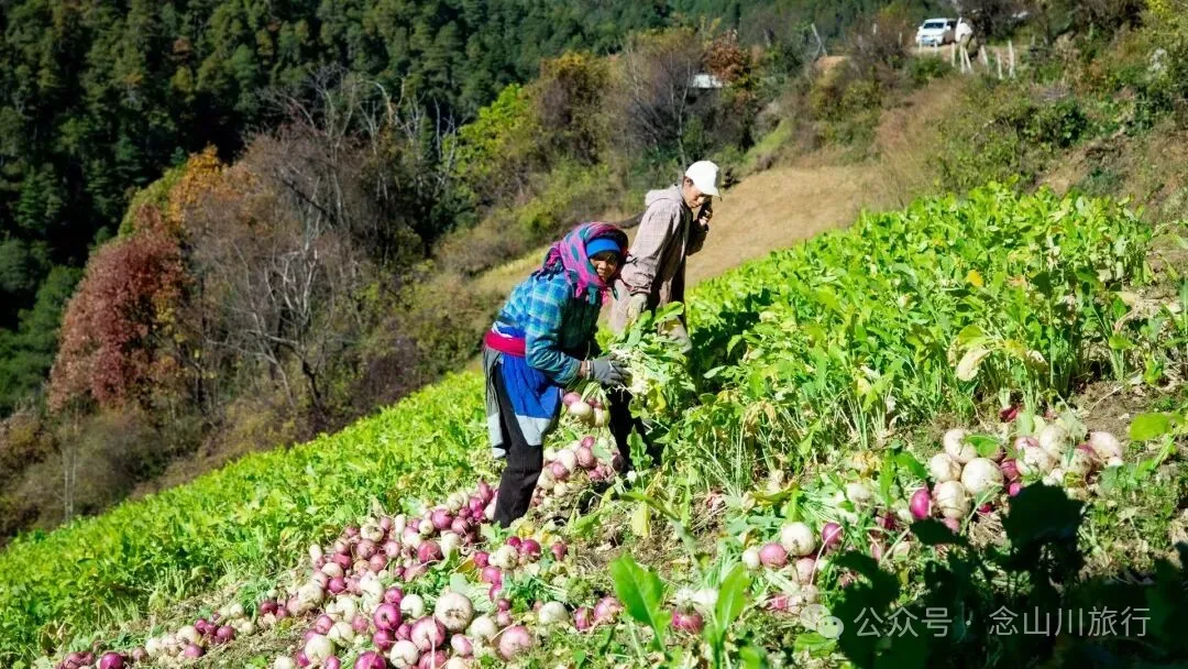 巴珠人物｜唱嘟传承人和庆文，为照顾家人放弃事业的退伍老兵 - 第5张