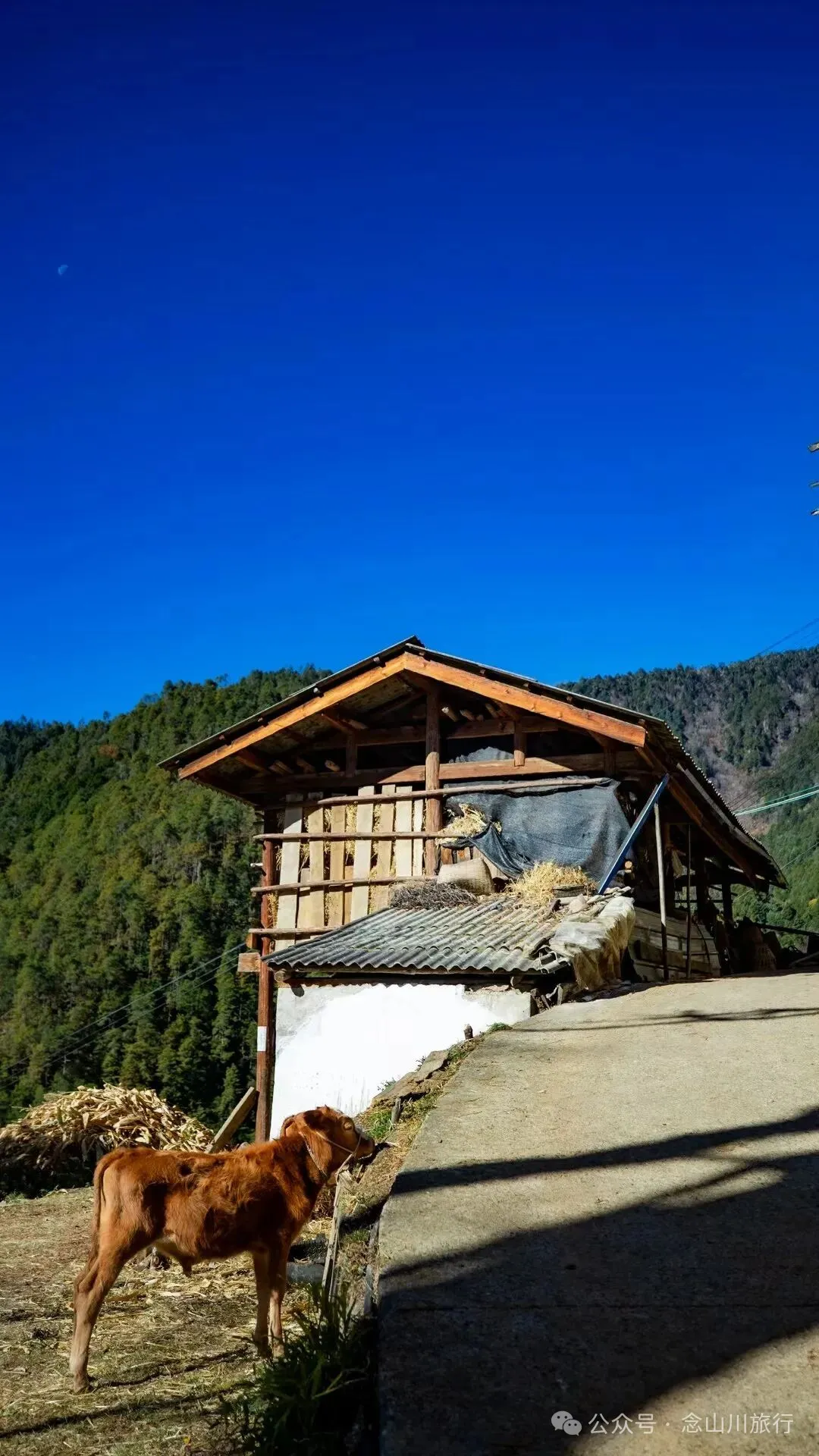 巴珠人物｜唱嘟传承人和庆文，为照顾家人放弃事业的退伍老兵 - 第7张