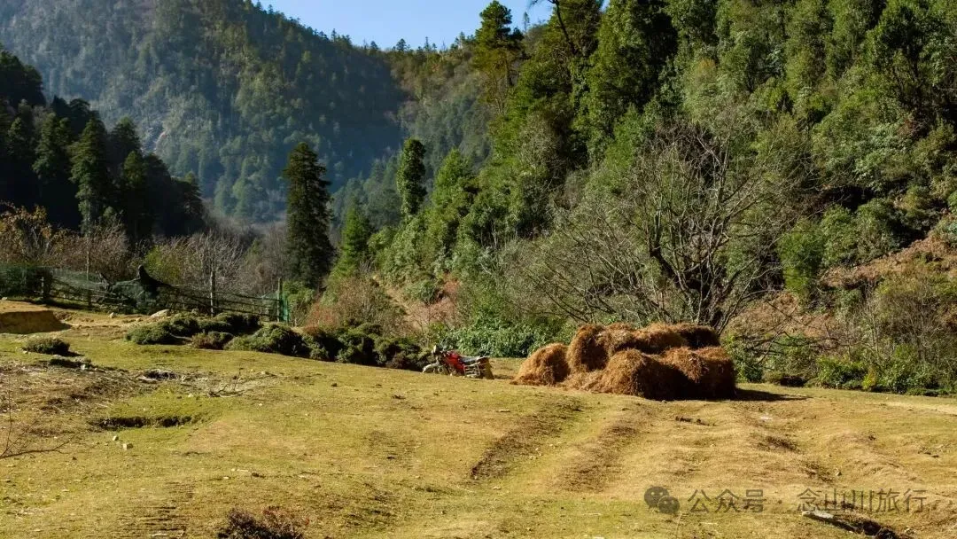 一根竹棍，一双绿色胶鞋，70岁的他们就这样去爬山了 - 第1张