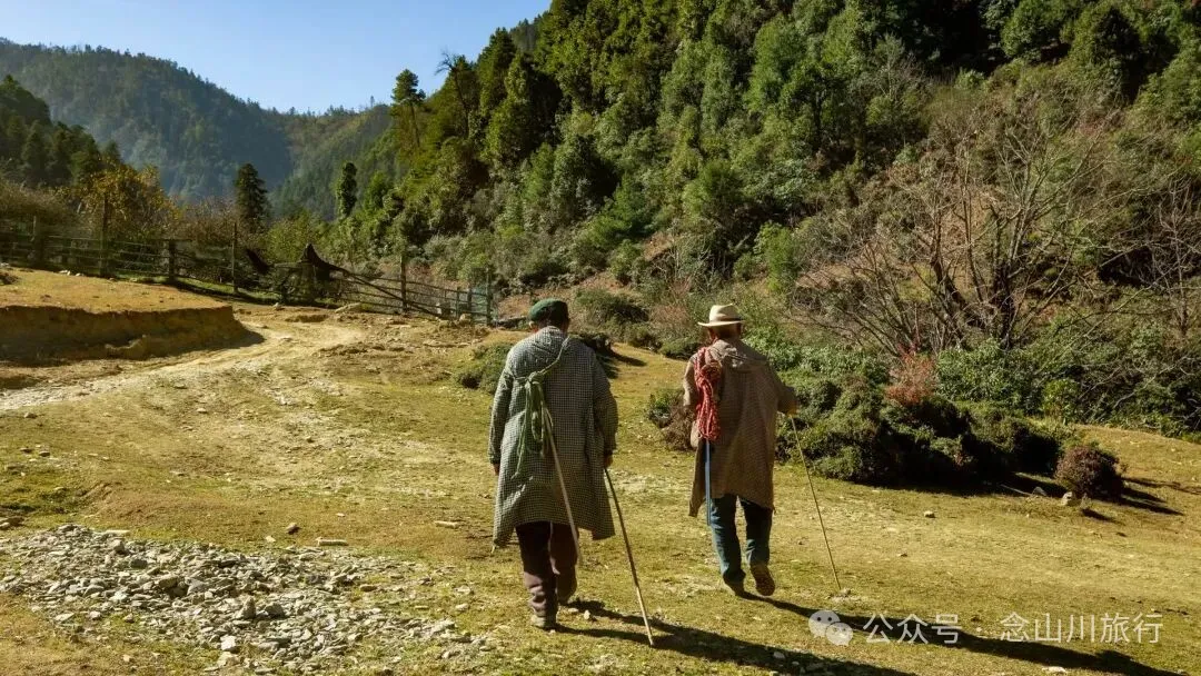 一根竹棍，一双绿色胶鞋，70岁的他们就这样去爬山了 - 第11张