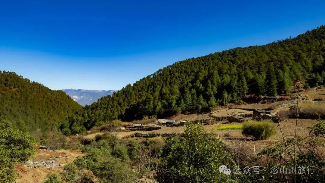 一根竹棍，一双绿色胶鞋，70岁的他们就这样去爬山了 - 第14张