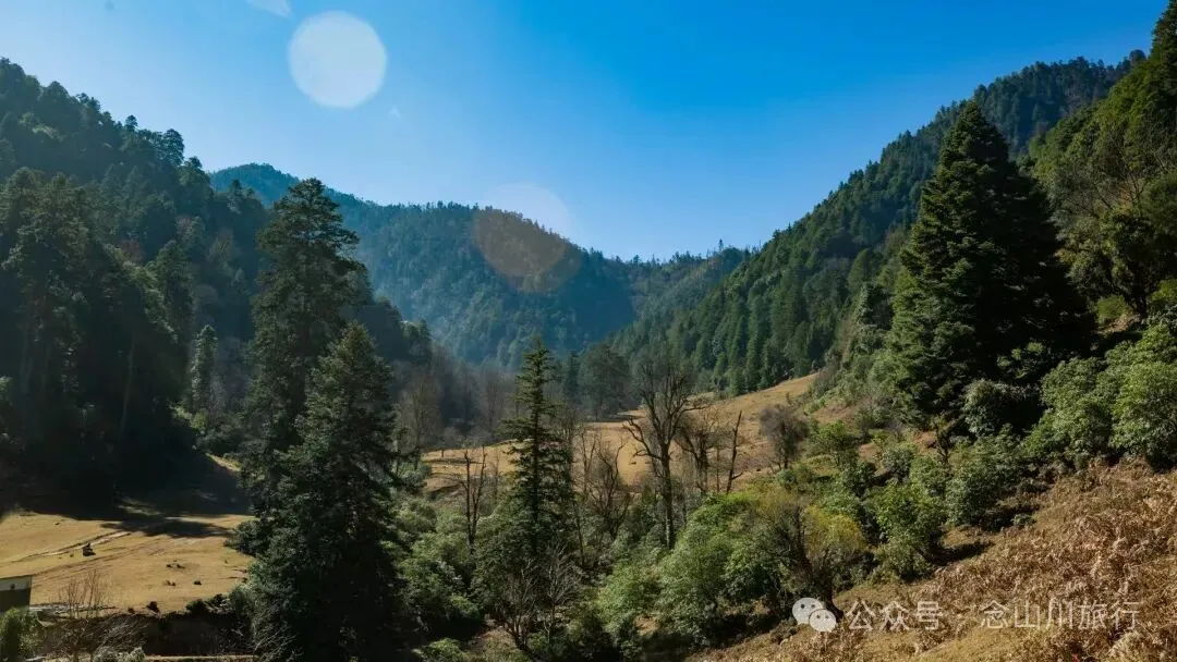 一根竹棍，一双绿色胶鞋，70岁的他们就这样去爬山了 - 第15张