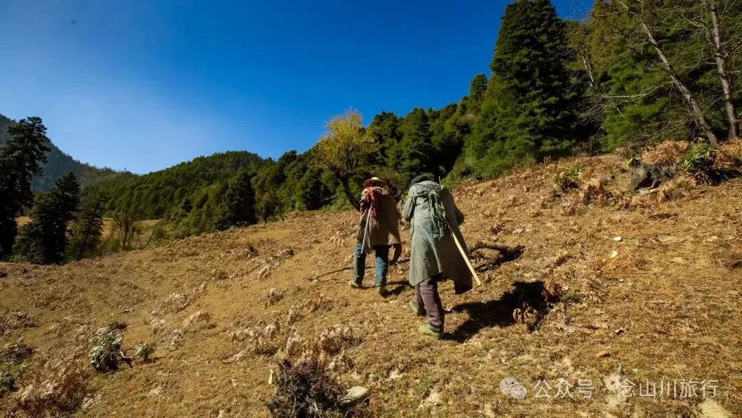 一根竹棍，一双绿色胶鞋，70岁的他们就这样去爬山了 - 第16张