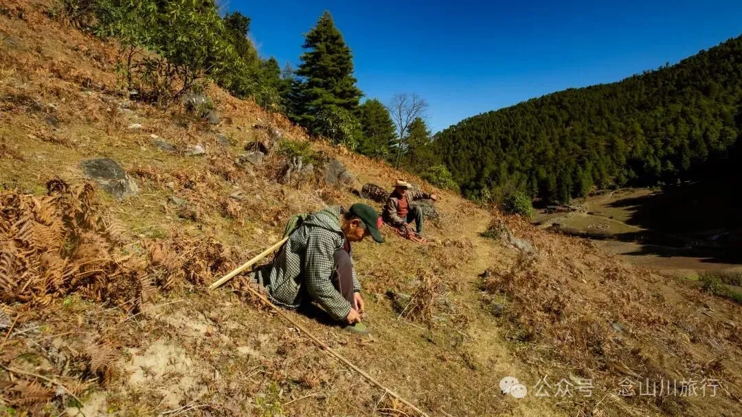 一根竹棍，一双绿色胶鞋，70岁的他们就这样去爬山了 - 第17张