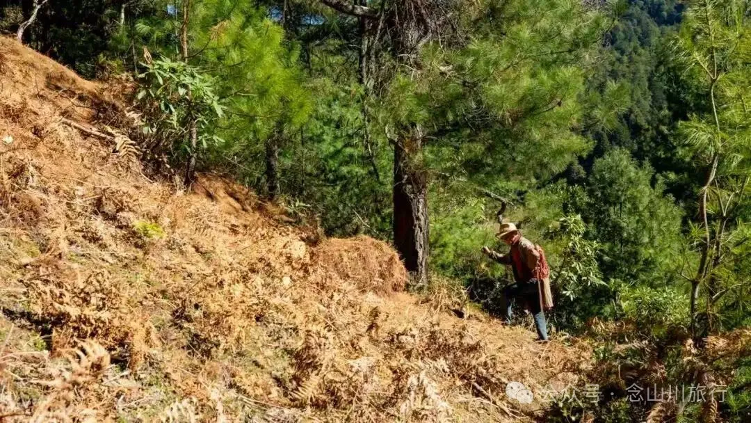 一根竹棍，一双绿色胶鞋，70岁的他们就这样去爬山了 - 第18张