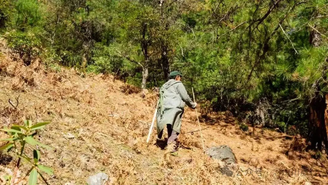 一根竹棍，一双绿色胶鞋，70岁的他们就这样去爬山了 - 第19张