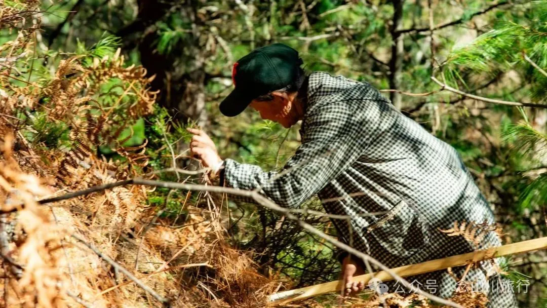 一根竹棍，一双绿色胶鞋，70岁的他们就这样去爬山了 - 第20张