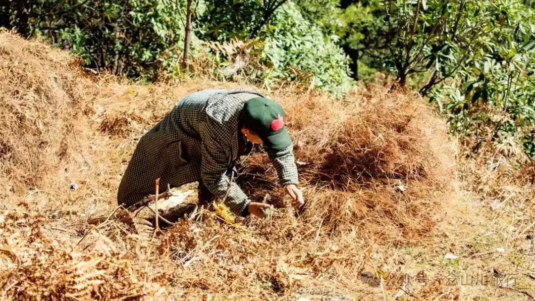 一根竹棍，一双绿色胶鞋，70岁的他们就这样去爬山了 - 第21张