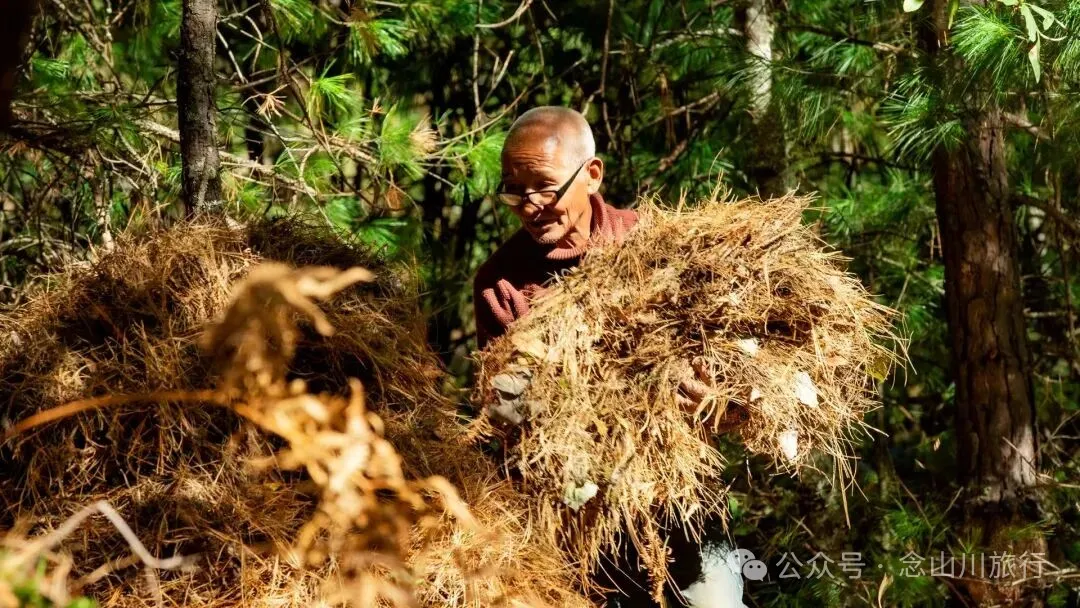 一根竹棍，一双绿色胶鞋，70岁的他们就这样去爬山了 - 第22张