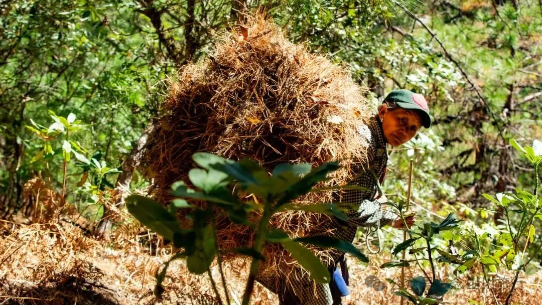 一根竹棍，一双绿色胶鞋，70岁的他们就这样去爬山了 - 第23张