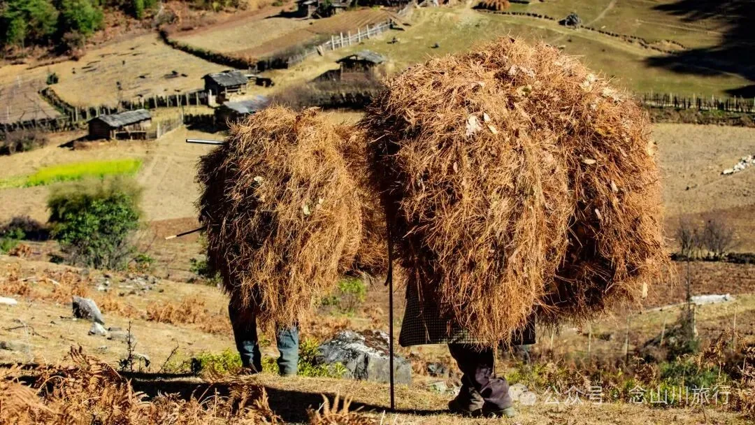 一根竹棍，一双绿色胶鞋，70岁的他们就这样去爬山了 - 第24张