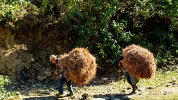 一根竹棍,一双绿色胶鞋,70岁的他们就这样去爬山了