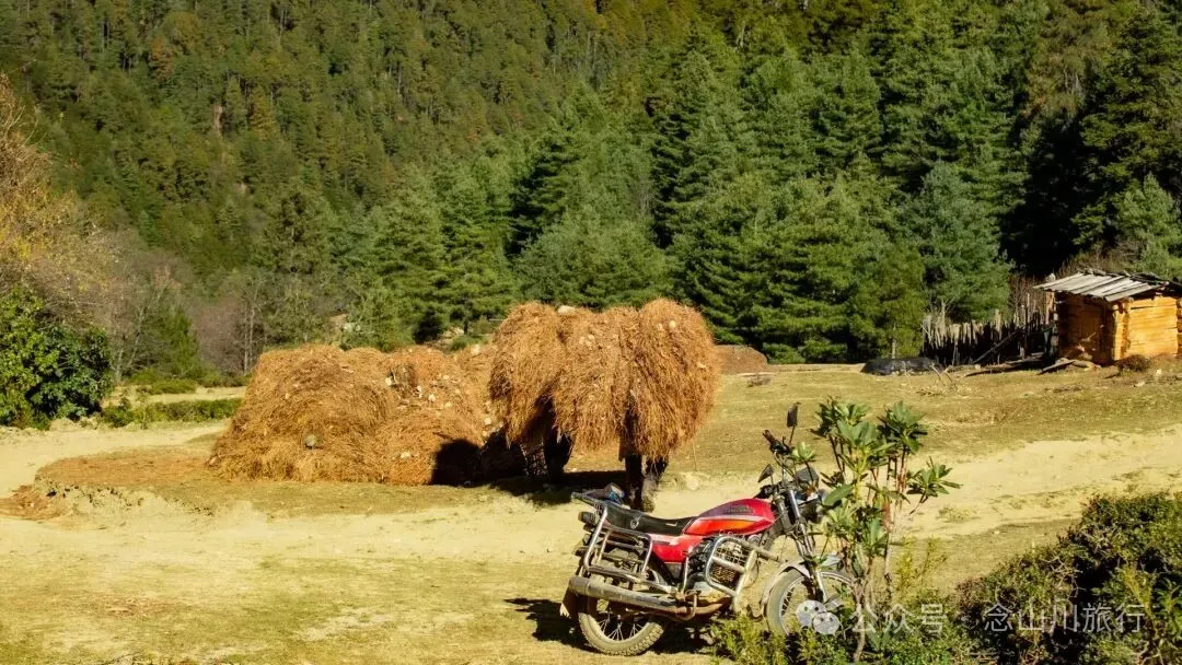 一根竹棍，一双绿色胶鞋，70岁的他们就这样去爬山了 - 第26张