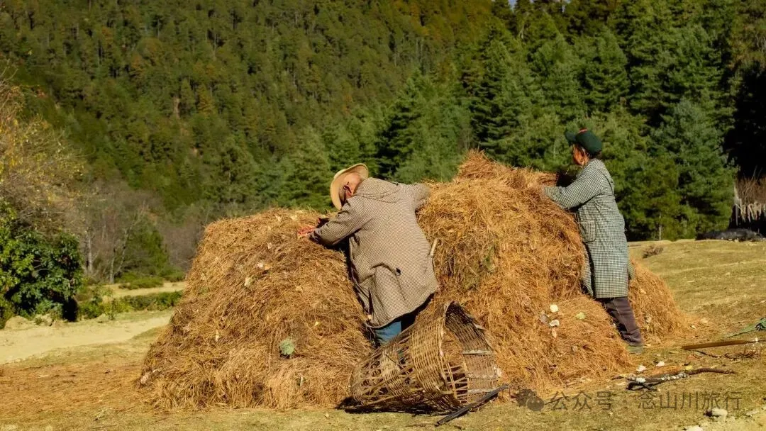 一根竹棍，一双绿色胶鞋，70岁的他们就这样去爬山了 - 第27张