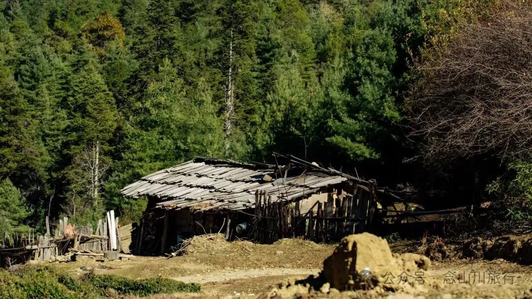 一根竹棍，一双绿色胶鞋，70岁的他们就这样去爬山了 - 第29张