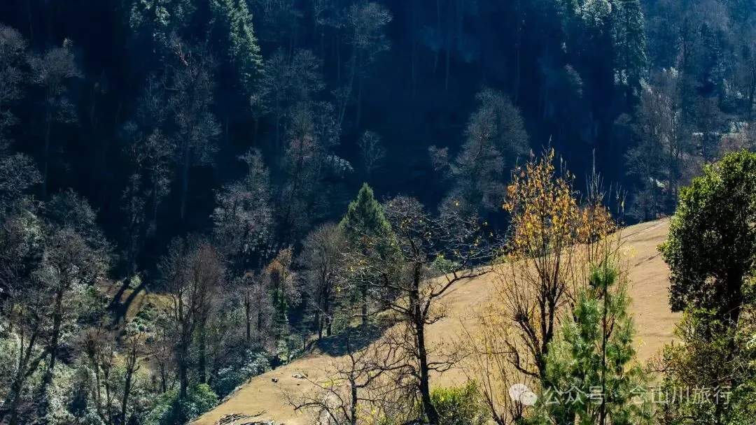 一根竹棍，一双绿色胶鞋，70岁的他们就这样去爬山了 - 第3张