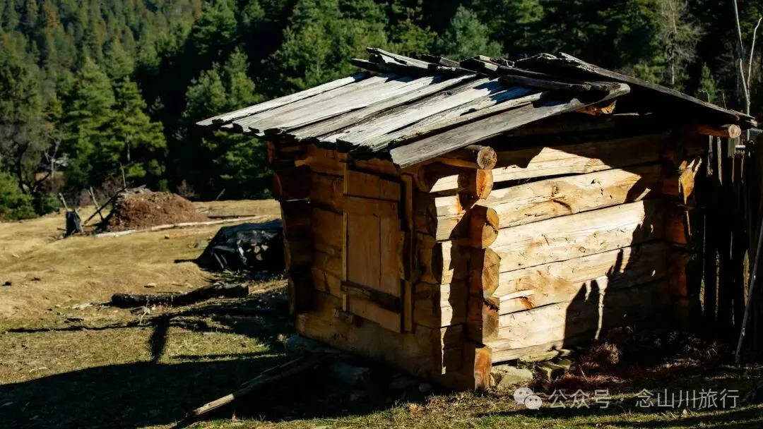 一根竹棍，一双绿色胶鞋，70岁的他们就这样去爬山了 - 第5张