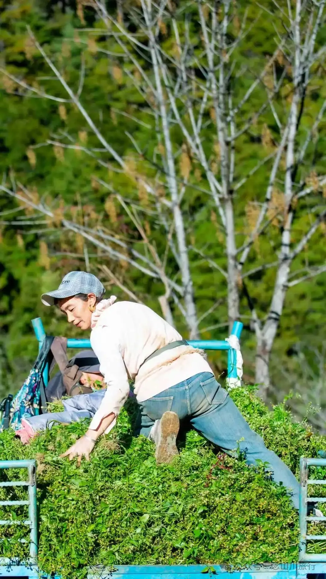 巴珠人物|坡布卓玛：婉转动听的歌声里唱出一部属于巴珠人自己的“诗经” - 第14张
