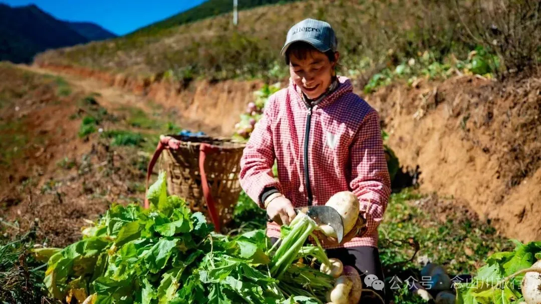 巴珠人物|坡布卓玛：婉转动听的歌声里唱出一部属于巴珠人自己的“诗经” - 第15张