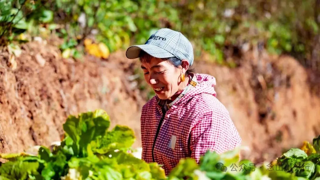 巴珠人物|坡布卓玛：婉转动听的歌声里唱出一部属于巴珠人自己的“诗经” - 第16张