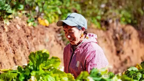 巴珠人物|坡布卓玛:婉转动听的歌声里唱出一部属于巴珠人自己的“诗经”