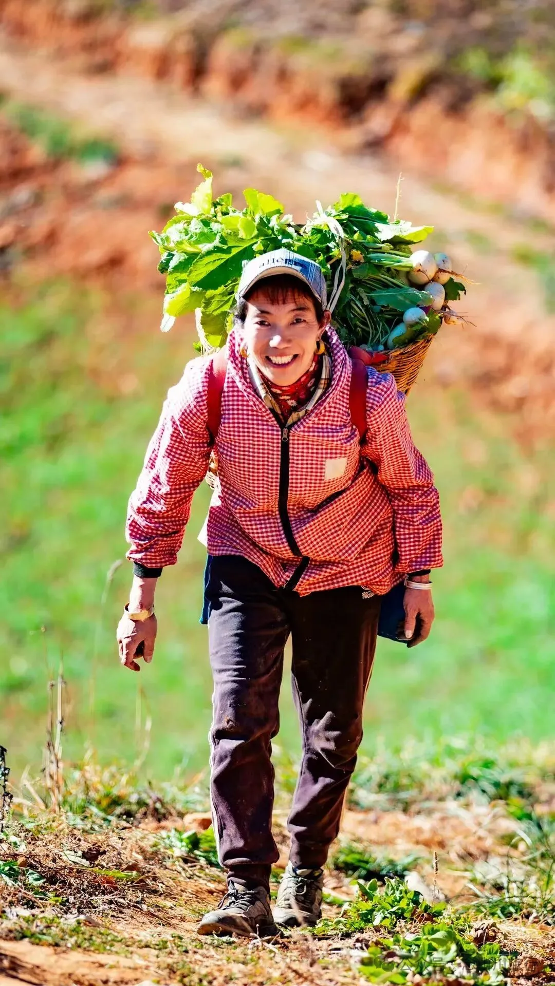 巴珠人物|坡布卓玛：婉转动听的歌声里唱出一部属于巴珠人自己的“诗经” - 第17张