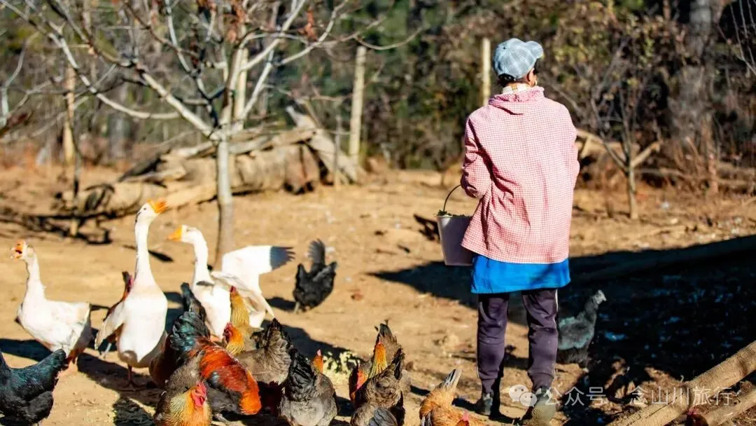 巴珠人物|坡布卓玛：婉转动听的歌声里唱出一部属于巴珠人自己的“诗经” - 第20张