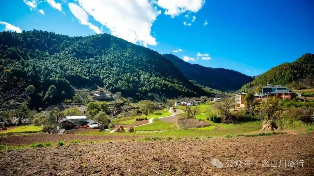 巴珠人物|坡布卓玛：婉转动听的歌声里唱出一部属于巴珠人自己的“诗经” - 第3张