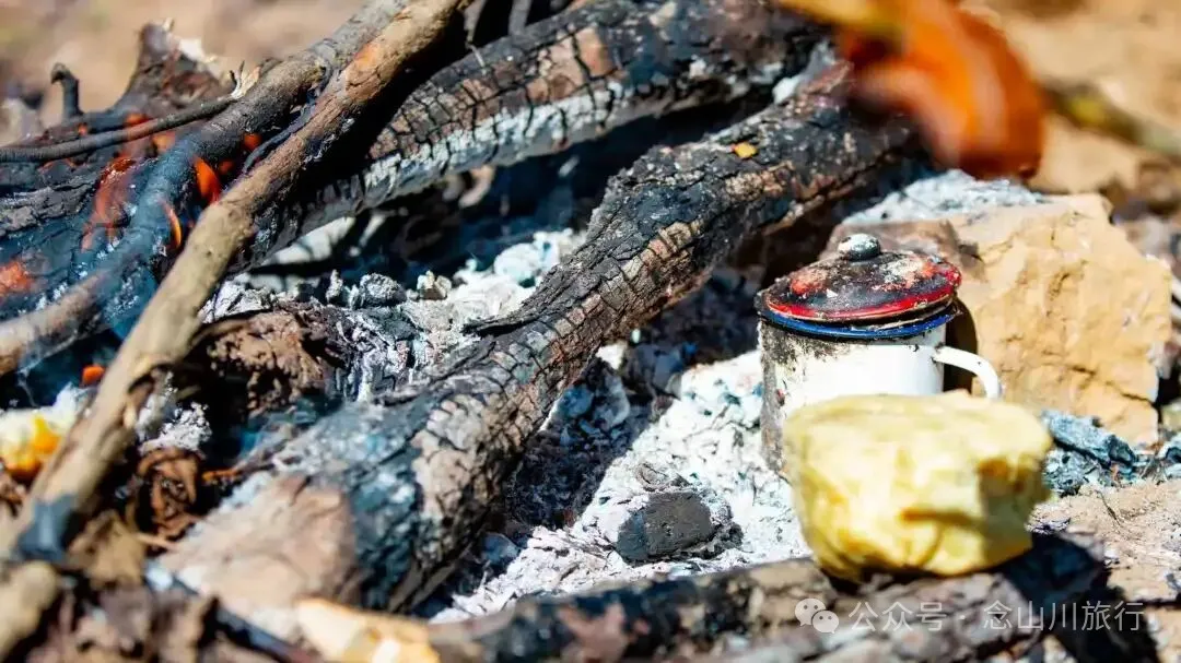 巴珠人物|坡布卓玛：婉转动听的歌声里唱出一部属于巴珠人自己的“诗经” - 第5张