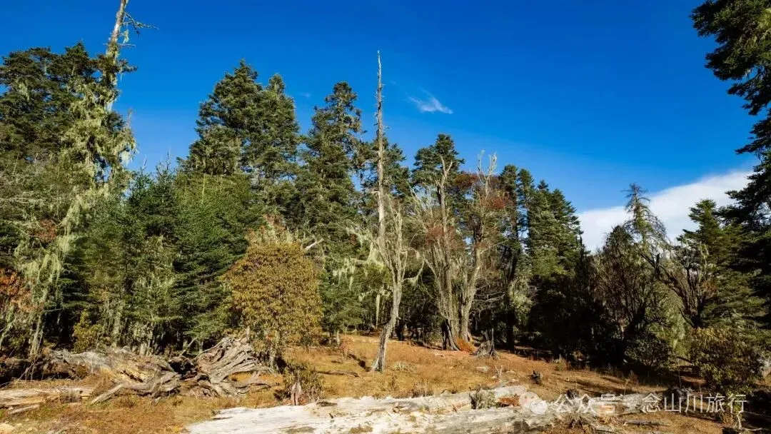 冬日小确幸：躺在遥望金沙江和塔城的山顶牧场晒一天太阳 - 第14张