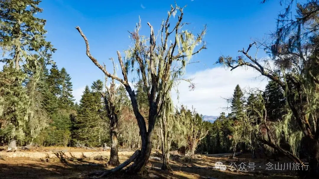冬日小确幸：躺在遥望金沙江和塔城的山顶牧场晒一天太阳 - 第15张