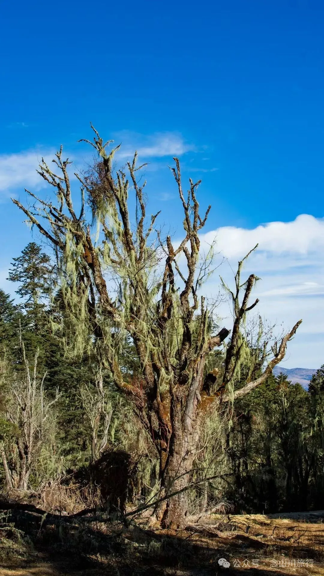 冬日小确幸：躺在遥望金沙江和塔城的山顶牧场晒一天太阳 - 第18张