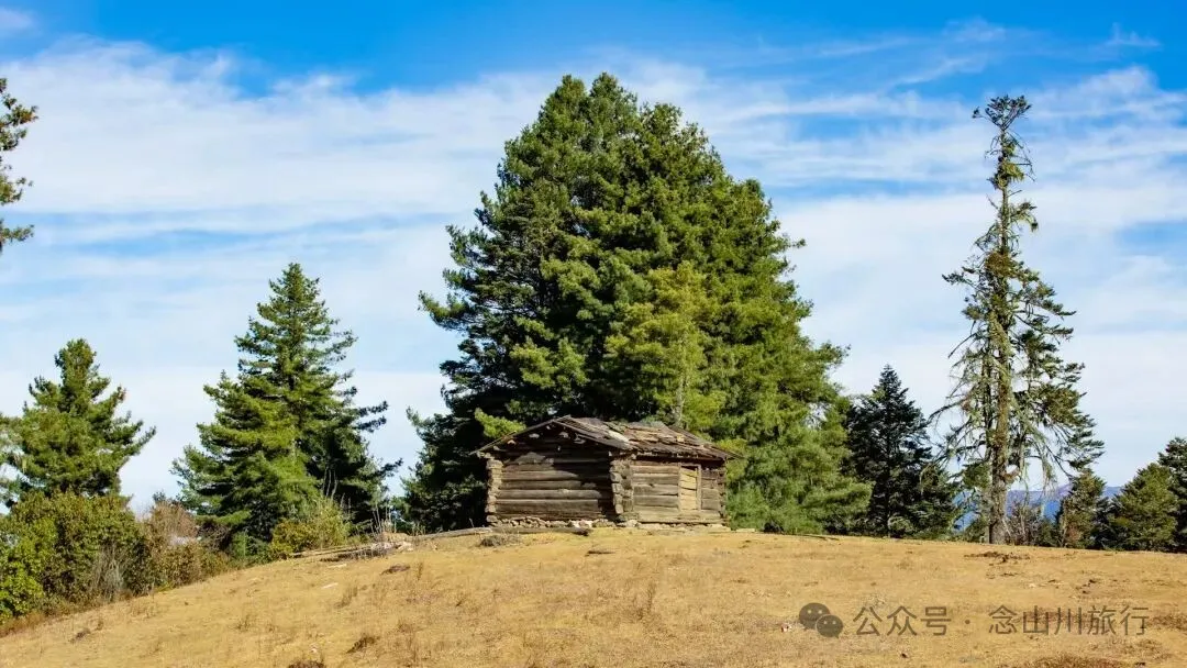 冬日小确幸：躺在遥望金沙江和塔城的山顶牧场晒一天太阳 - 第3张