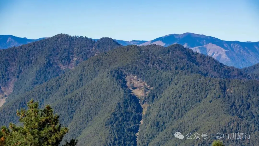 冬日小确幸：躺在遥望金沙江和塔城的山顶牧场晒一天太阳 - 第7张