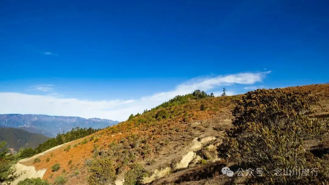 冬日小确幸：躺在遥望金沙江和塔城的山顶牧场晒一天太阳 - 第9张