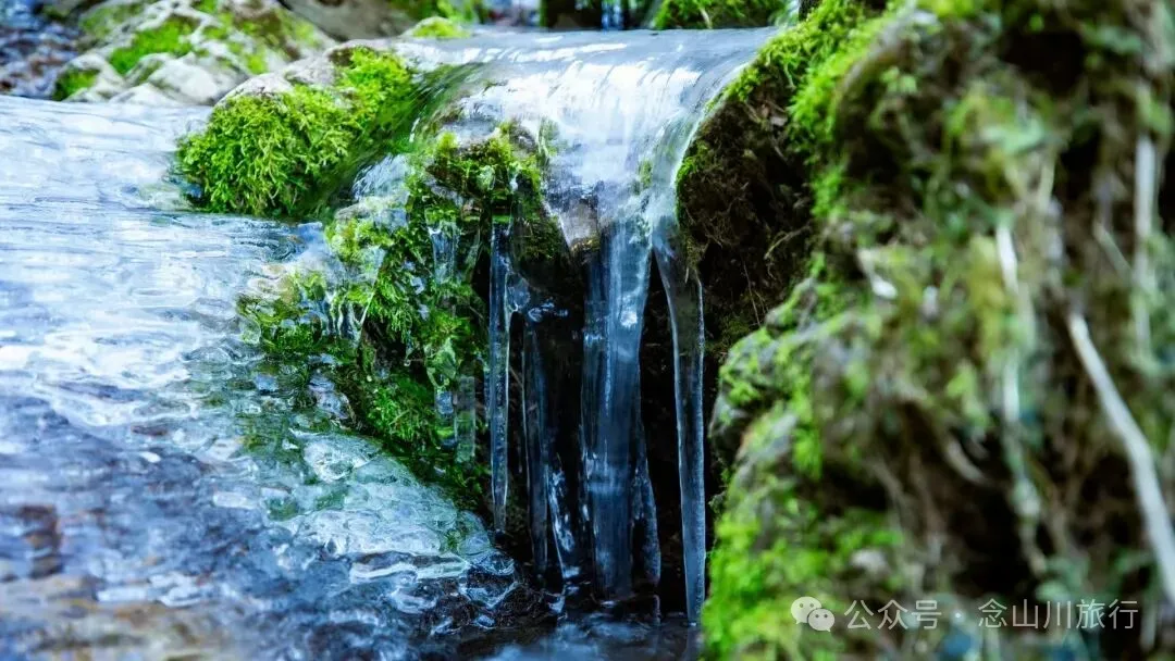 10公里翻山路的艰辛，结束于山顶牧场的小木屋——记徒步格瓦木大环线之旅 - 第11张