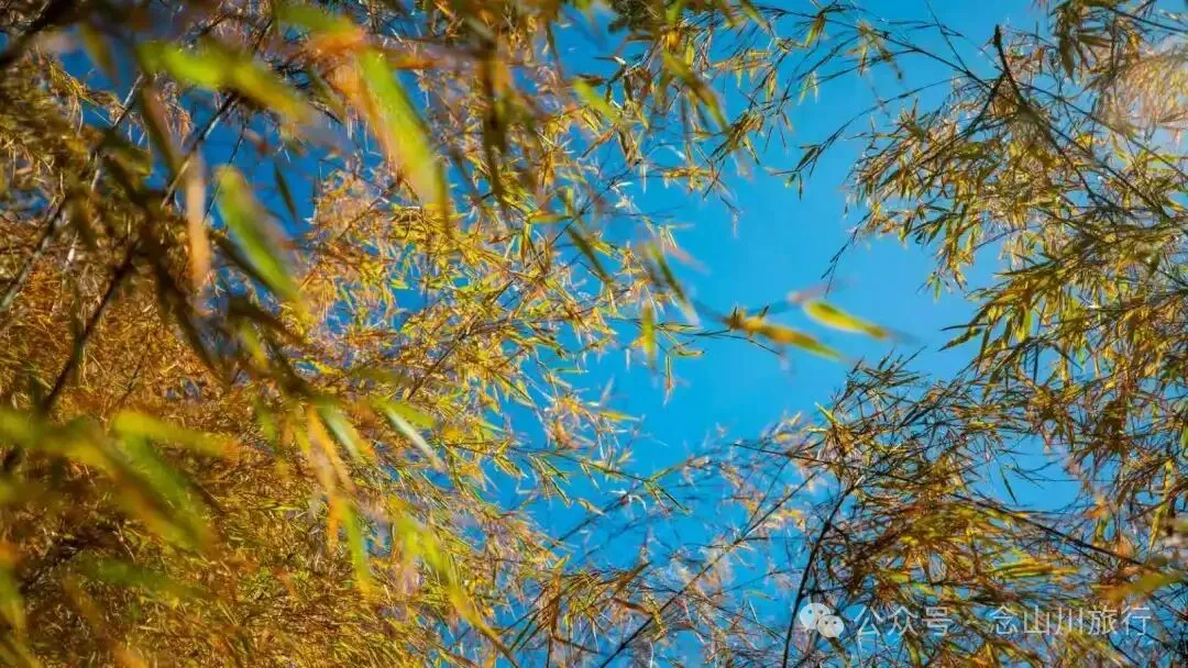 10公里翻山路的艰辛，结束于山顶牧场的小木屋——记徒步格瓦木大环线之旅 - 第13张