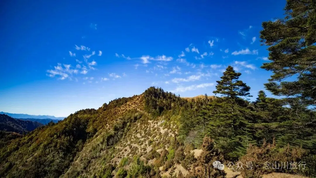 10公里翻山路的艰辛，结束于山顶牧场的小木屋——记徒步格瓦木大环线之旅 - 第15张