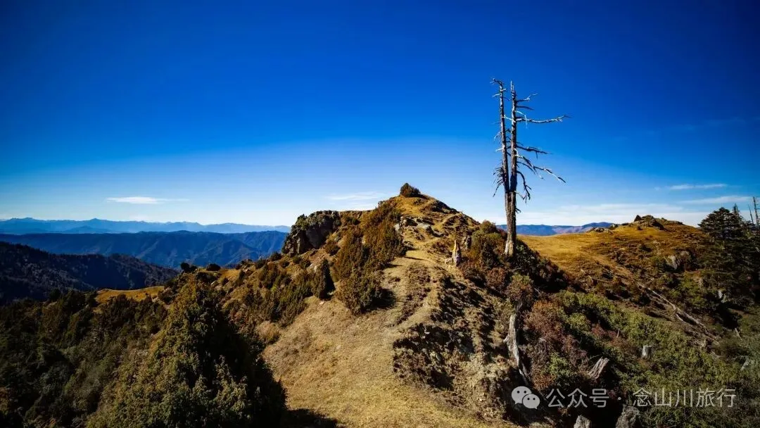 10公里翻山路的艰辛，结束于山顶牧场的小木屋——记徒步格瓦木大环线之旅 - 第2张