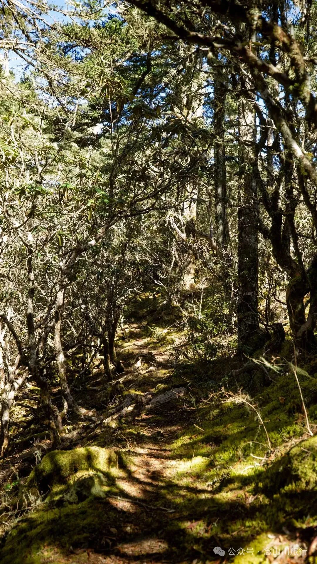 10公里翻山路的艰辛，结束于山顶牧场的小木屋——记徒步格瓦木大环线之旅 - 第27张