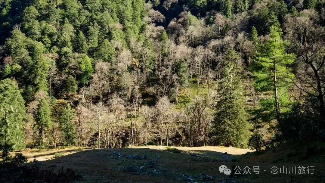 10公里翻山路的艰辛，结束于山顶牧场的小木屋——记徒步格瓦木大环线之旅 - 第28张