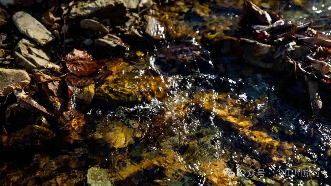 10公里翻山路的艰辛，结束于山顶牧场的小木屋——记徒步格瓦木大环线之旅 - 第29张